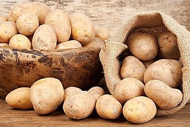 弹幕射击RPG《幻想少女大战》最新预告 2022年登陆Switch